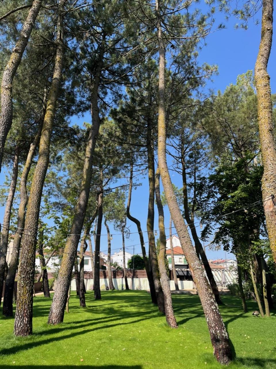 Casa Jardin El Colmenar Hotell Las Navas del Marqués Exteriör bild