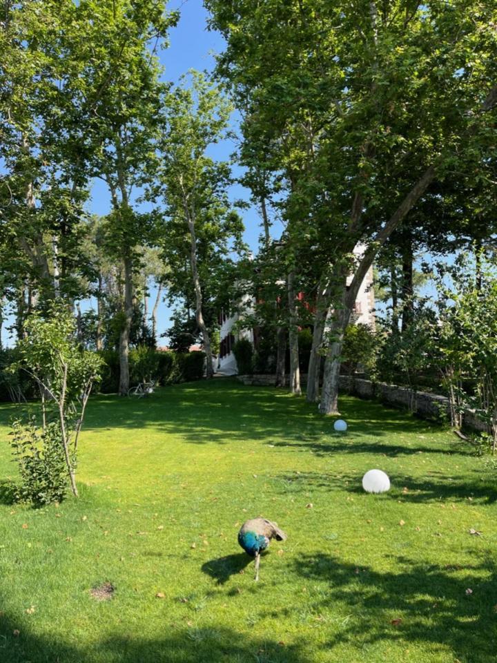 Casa Jardin El Colmenar Hotell Las Navas del Marqués Exteriör bild